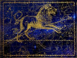 ВАШ ГЛАВНЫЙ ДАР ПО ЗНАКУ ЗОДИАКА ДАР ПО ЗНАКУ ЗОДИАКА