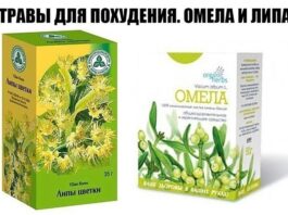 омела и липа для похудения