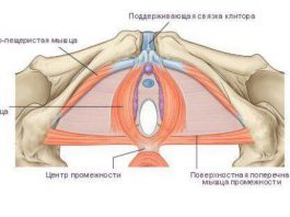 ПРО ЖЕНСКИЕ ТРЕНИРОВКИ