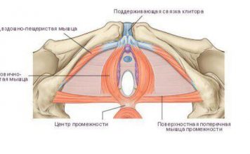 ПРО ЖЕНСКИЕ ТРЕНИРОВКИ