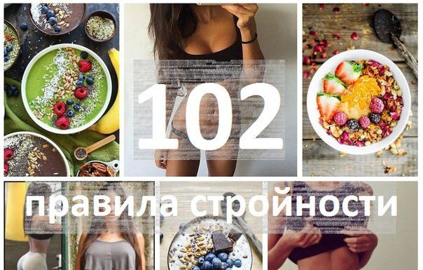 102 правила стройности
