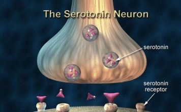 Гормон радости: ВСЕ, что Вы не знали о серотонине