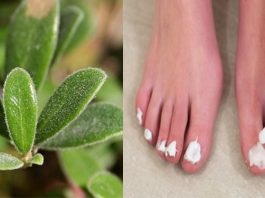 Народные средства от грибка Народные средства от грибка