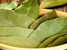 Больше никаких варикозных мазей, отсутствия памяти и нет головным болям, благодаря этим листьям!