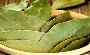 Больше никаких варикозных мазей, отсутствия памяти и нет головным болям, благодаря этим листьям!