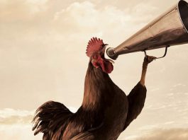 Мощь утра: почему успешные люди встают в 4:00