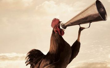 Мощь утра: почему успешные люди встают в 4:00