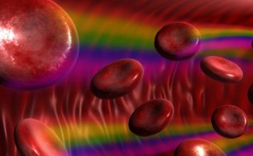 Периодичность обновления организма человека