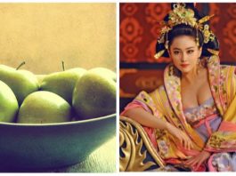 Сохраняем молодость лица: Метод китайских наложниц