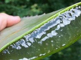 Напиток от шлаков