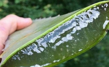 Напиток от шлаков