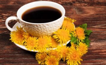 кофе из одуванчиков