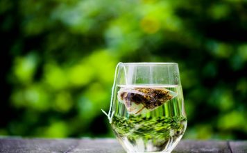 Какой чай самый полезный