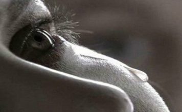 Муж привел любовницу, а жену и ребенка выгнал на улицу… Спустя много лет они снова встретились…