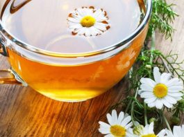 Рецепт для продления жизни, который был переведен на все языки мира