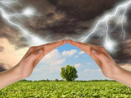 Берегите душевное спокойствие