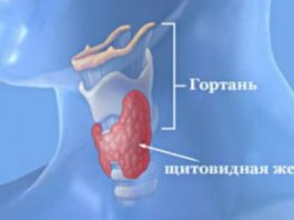 витамины для щитовидной железы