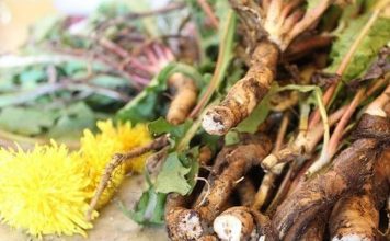 накопайте три корня