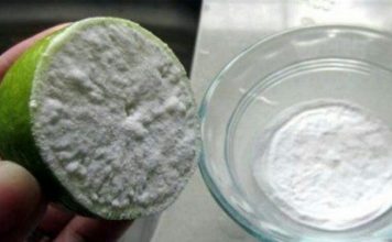 Рецепт вечной молодости