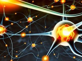 Избыток серотонина может быть очень вреден для организма