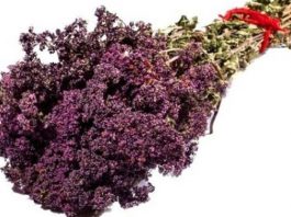 Секретный рецепт чая самого Чингисхана