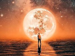 Знак в жизни, который вы долго ждали