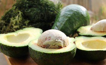 Косточка плодов авокадо