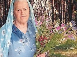 Травы, которые проникают в суставы и восстанавливают хрящи в несколько раз лучше химии!