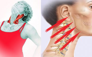 Упражнение Бабочка