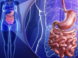 Паразиты в организме: Признаки заражения и способы избавления