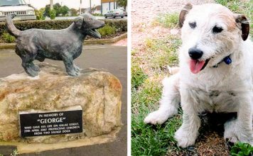 18 фотографий, которые вызовут у вас улыбку и растопят даже самые холодные сердца!