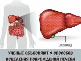 Ученые объясняют 9 способов исцеления повреждений печени