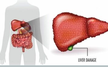 Ученые объясняют 9 способов исцеления повреждений печени