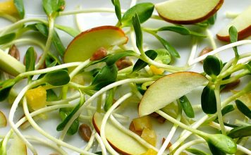 Биогенная еда — самый дешевый способ борьбы со старением