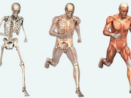 Когда люди осознают причины болезней — доктора будут не нужны