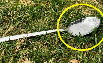 Перед тем, как уйти из дому, всегда оставляйте на улице ложку сахара