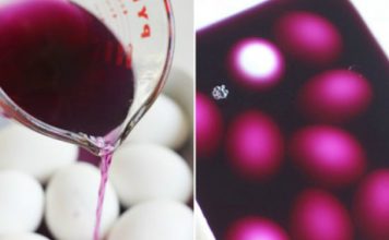 Никакой химии: готовим натуральный краситель для яиц из капусты!