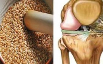 Смесь этих семян — самое мощное и эффективное средство от боли в коленях и суставах!