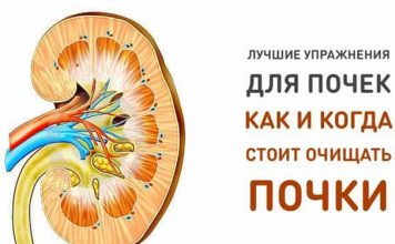 Лучшее упражнение для почек. Как и когда стоит очищать почки!