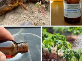 Нашатырный спирт