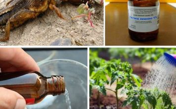 Нашатырный спирт