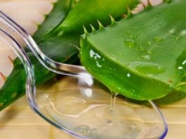 Сок алоэ – применение и польза для организма