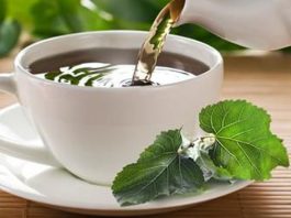 Чай из листьев шелковицы