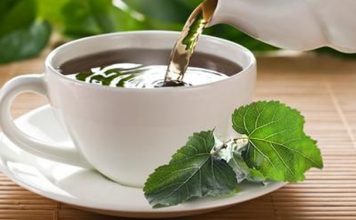 Чай из листьев шелковицы