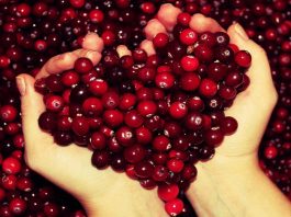 продукты очищающие организм