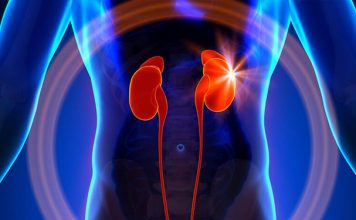 Здоровье надпочечников: Почему после стресса важно позаботиться о себе в течение 2–3 дней