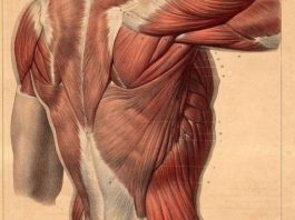 Гимнастика Гермеса Трисмегиста