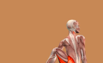 Упражнения, которые подарят вам плоский живот и узкую талию