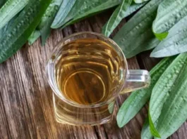 Лечебные свойства подорожника: что говорит наука? Лечебные свойства подорожника