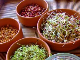 Как правильно употреблять орехи, крупы и бобовые, чтобы не навредить здоровью